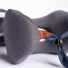 Posture+ Alignment System: Ergonomic Memory Foam Neck Support for Pain Relief, Posture Correction + Headache Relief - bullbird